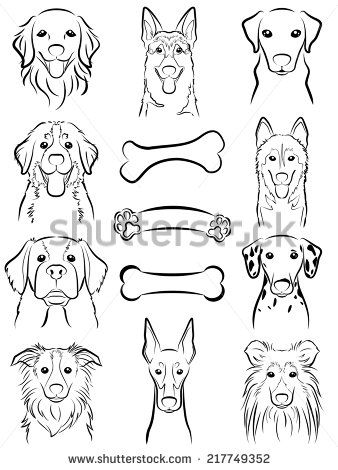 338x470 Dog Line Drawing Stock Photos, Images, Amp Pictures Shutterstock