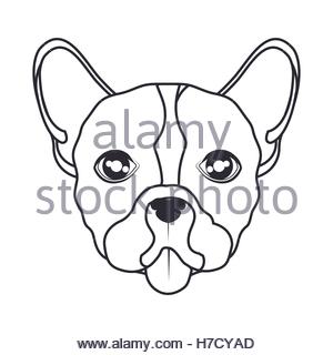300x320 Doodle Of Pet Dog Hand Draw Stock Vector Art Amp Illustration