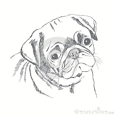 400x400 Drawn Face Pug