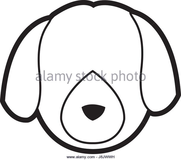 610x540 Flat Face Dog Stock Photos Amp Flat Face Dog Stock Images