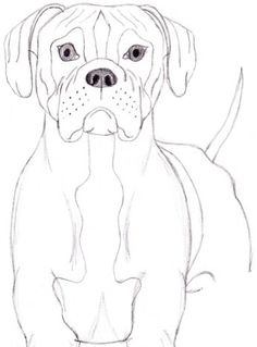 236x319 How To Draw A Dog Boxer Arts And Crafts Dog