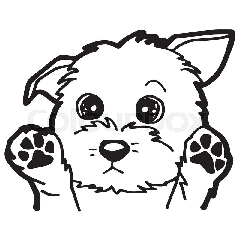 800x800 Image Of Cartoon Dog Coloring Page Isolated On White Vector