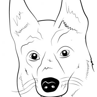 320x320 Tag For Puppy Face Drawing Home How To Draw A Puppy Face Step 8