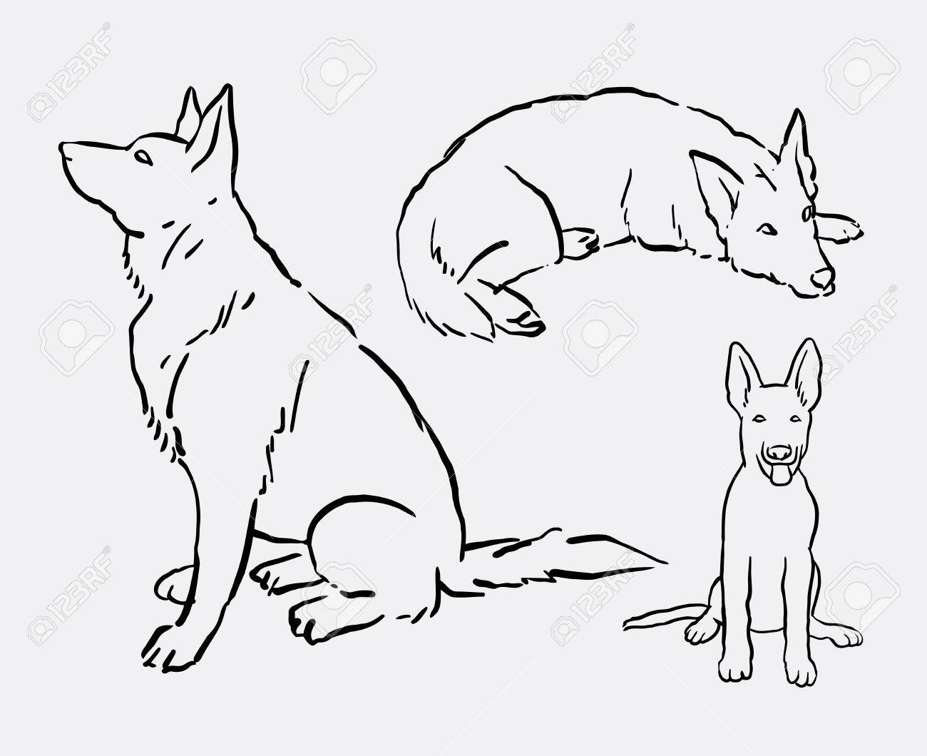 1300x1060 German Shepherd Pet Dog Animal Drawing. Good Use For Symbol