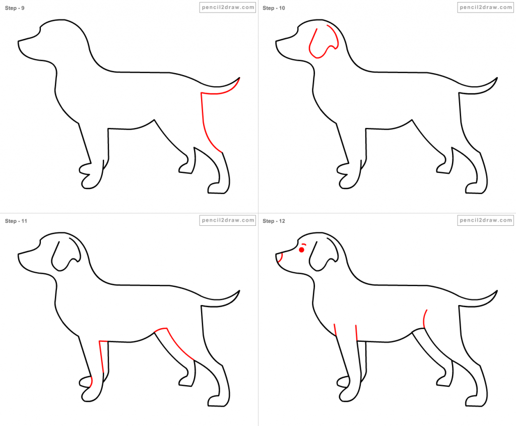 1024x845 How Do You Draw A Dog Step By Step How To Draw Dog For Kids Step