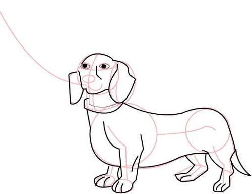 500x384 How To Draw Barbie Doll Walking Her Daschund Dog Drawing Lesson
