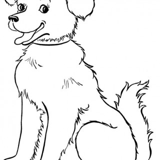 320x320 Tag For Dog Image Drawings To A Male Dog You Can Sometimes Make