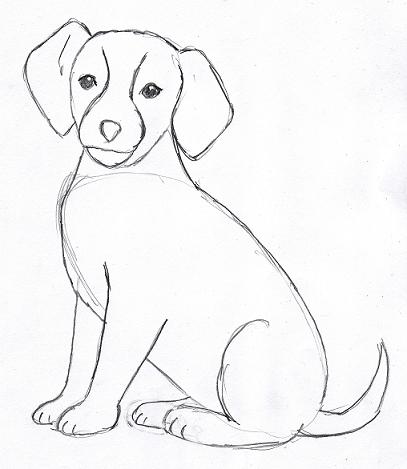 407x469 Easy Dog Drawings In Pencil For Kids