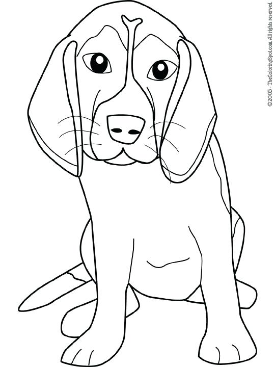 540x720 Beagle Coloring Pages Dogs Coloring Pages Welsh Corgi Kids