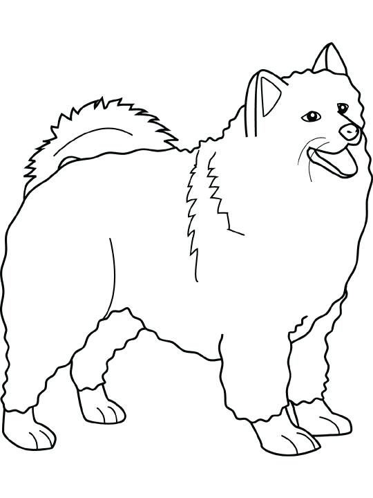540x720 Printable Coloring Pages Of Dogs Omnitutor.co