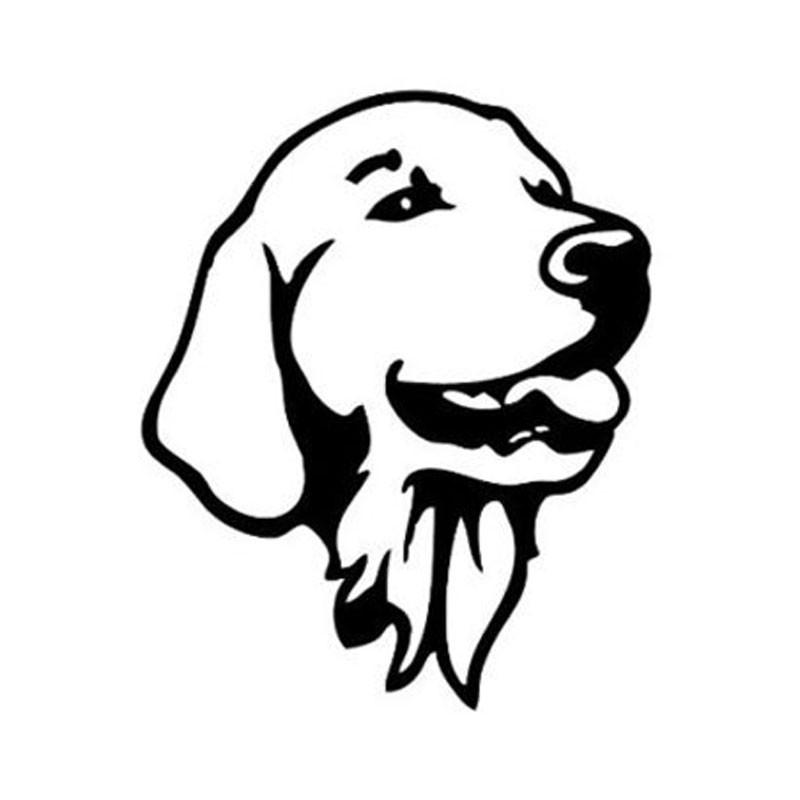 800x800 Golden Retriever Head Car Sticker The Top Dog Deals