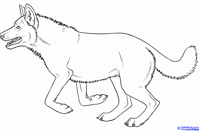 640x420 Tag For How To Draw A Wolf Puppy Wolf Dog Adopts 20 Points
