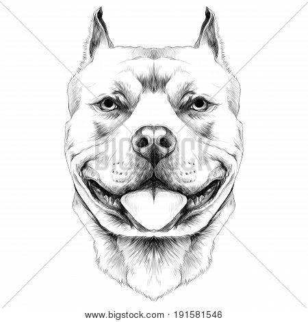 450x470 Bull Drawing Images, Illustrations, Vectors