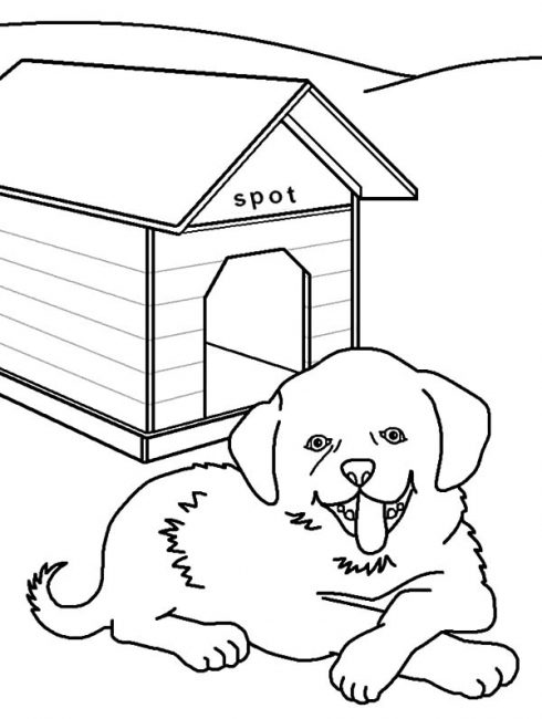 490x650 Dog House Coloring Pages 5 Nice Coloring Pages For Kids