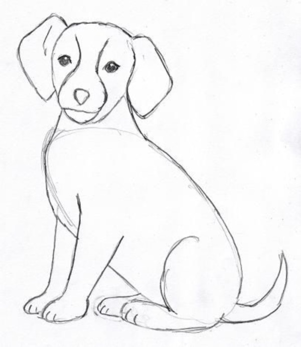 Dog Images Drawing