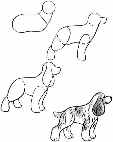 450x565 How To Draw Dogs