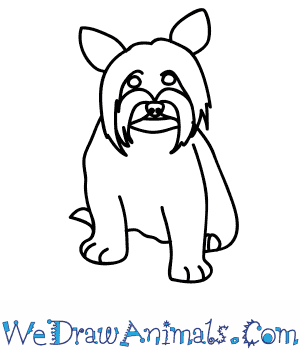 300x350 How To Draw A Yorkie Dog