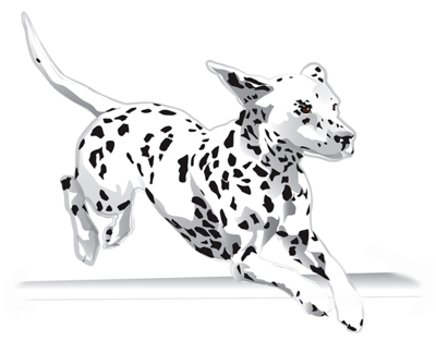 400x323 Dalmatian Note Cards Jump