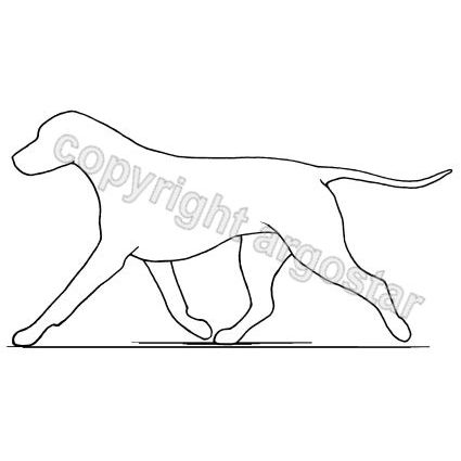 425x425 Educational Illustrations