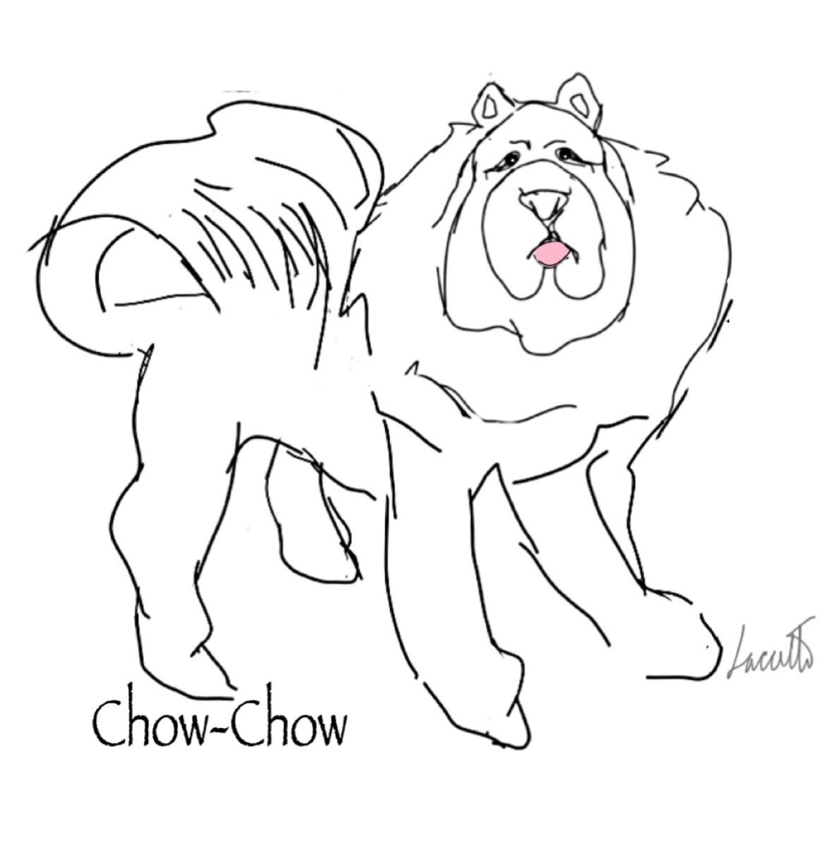 1171x1200 Pin By Laccetti On Dog Drawings Dog Drawings And Dog