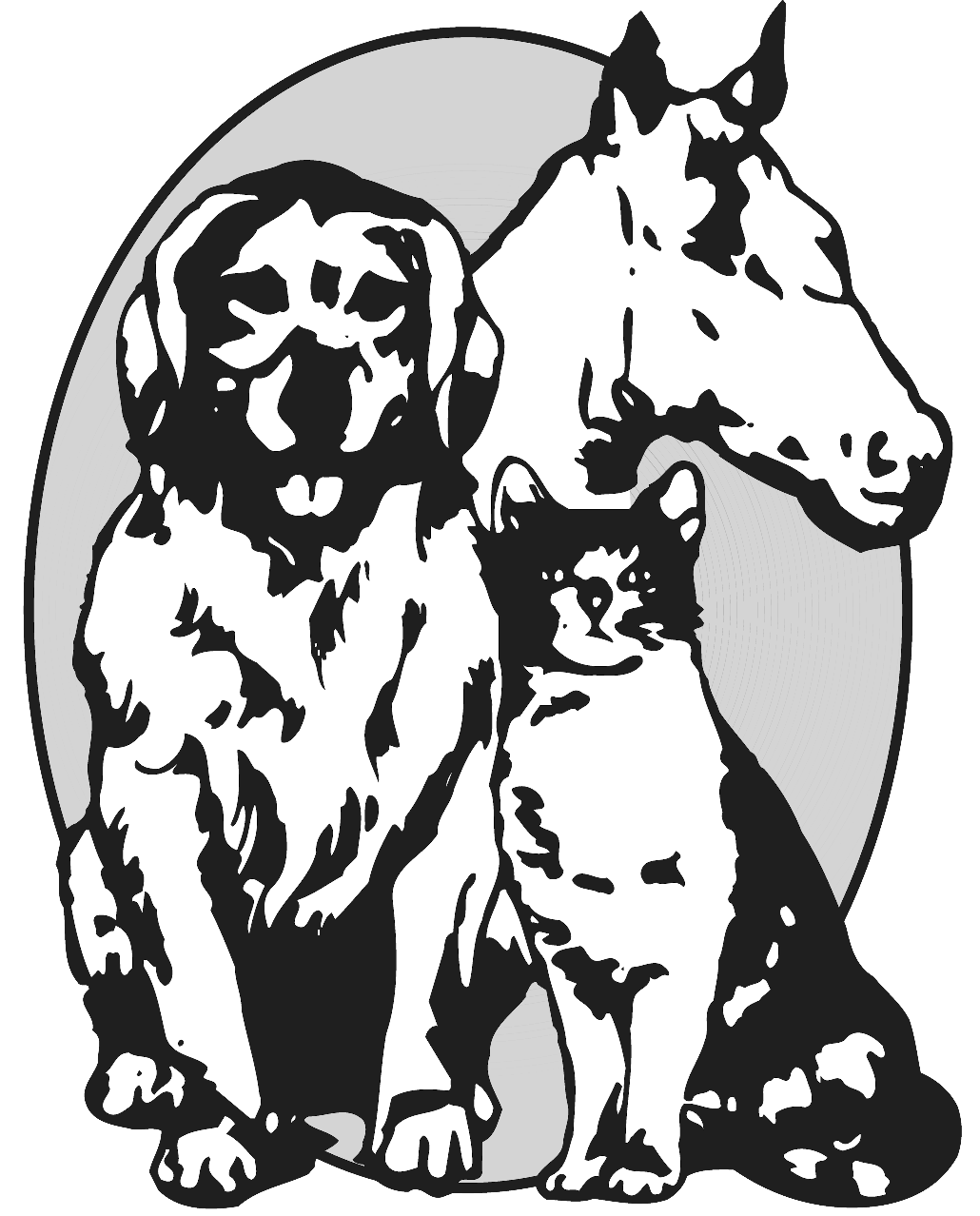 1030x1278 Dog Boarding