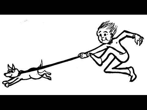 480x360 Instantly Train Your Dog To Walk On A Leash Instant Trainer