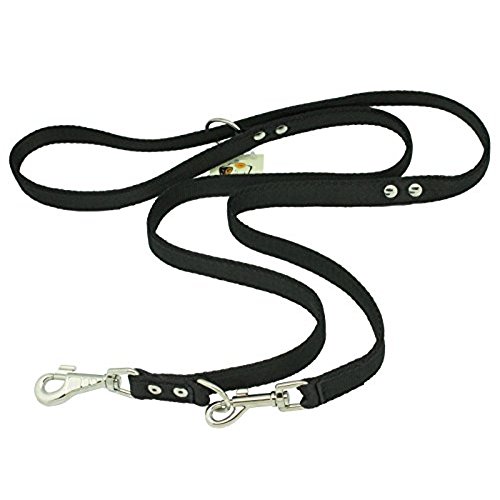 Dog Leash Drawing at GetDrawings | Free download