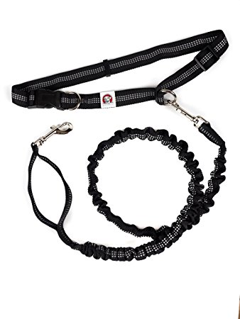 338x450 Premium Heavy Duty Hands Free Dog Leash For Puppy Training, Hiking