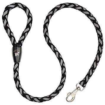 355x355 Protecta Pup Reflective Dog Leash