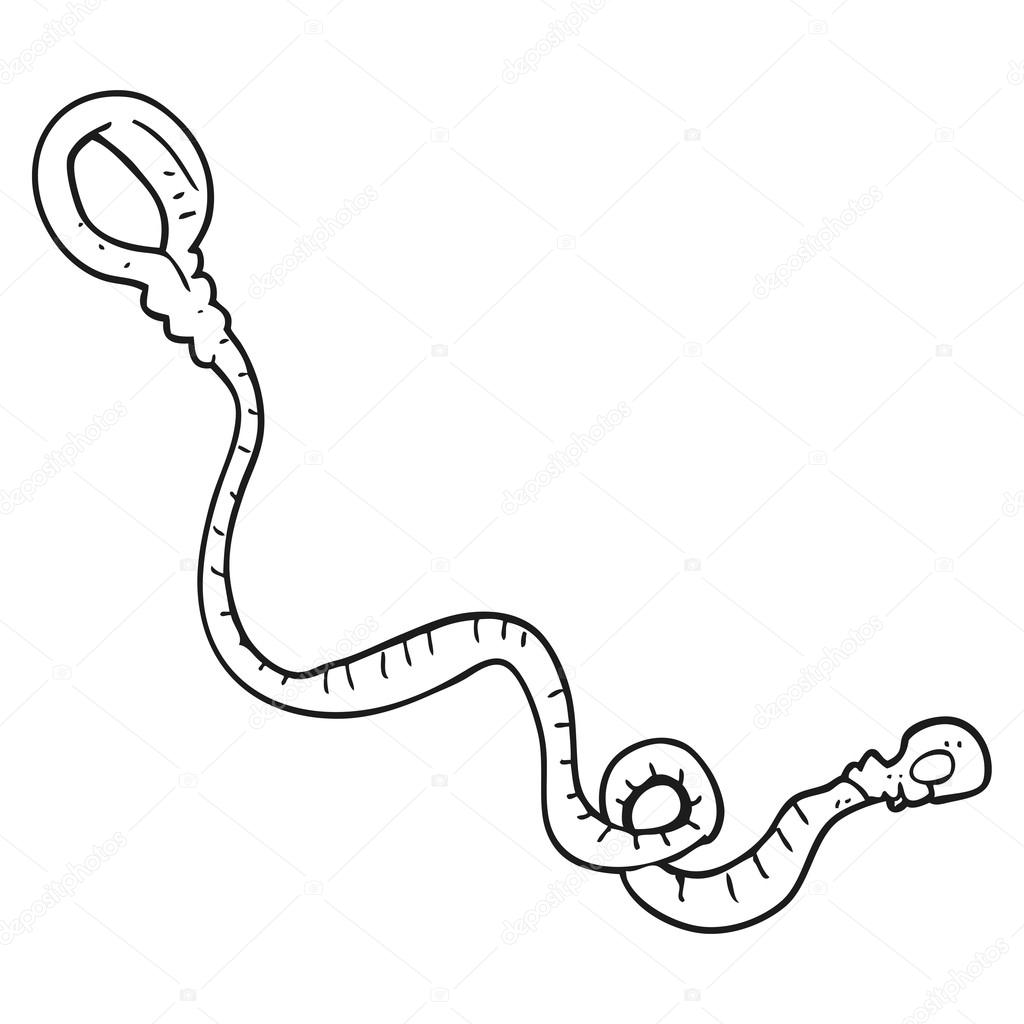 1024x1024 Black And White Cartoon Dog Leash Stock Vector Lineartestpilot