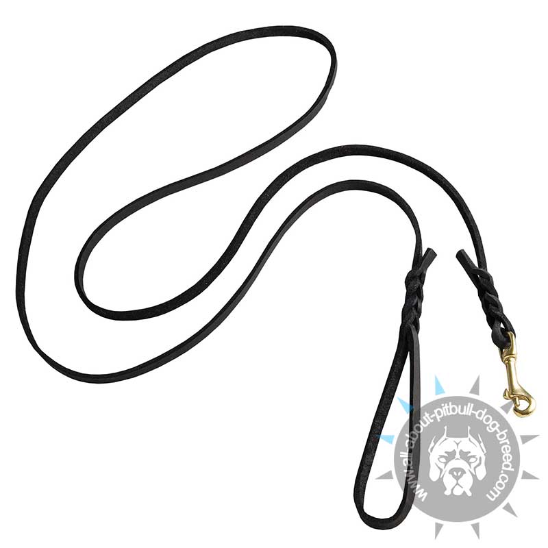 800x800 Buy Braided Leather Leash Dog Show