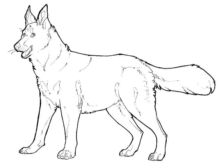 764x585 Free Dog Line Art By Stellardeer