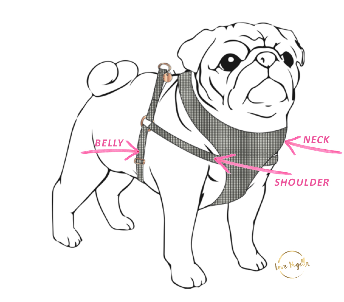 1132x992 Harness Lime Hugs Amp Kisses