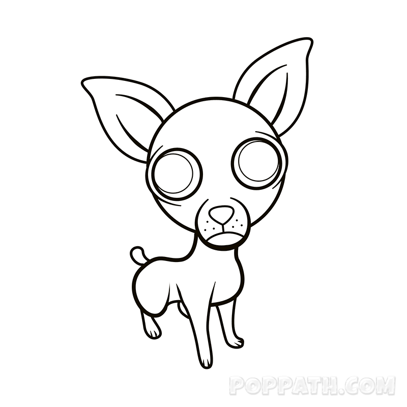 800x800 How To Draw A Chihuahua Pop Path
