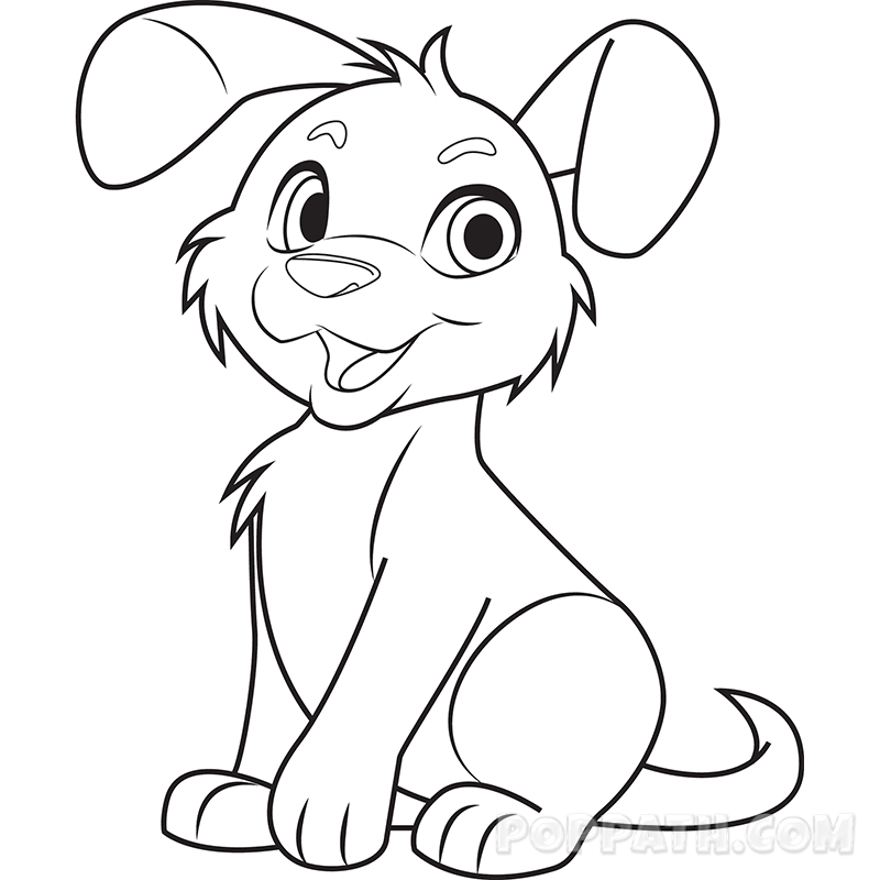 800x800 How To Draw A Brown Dog Pop Path