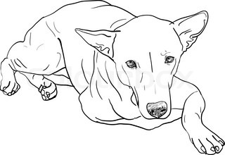 320x220 The Dog In 3 Poses Stock Vector Colourbox