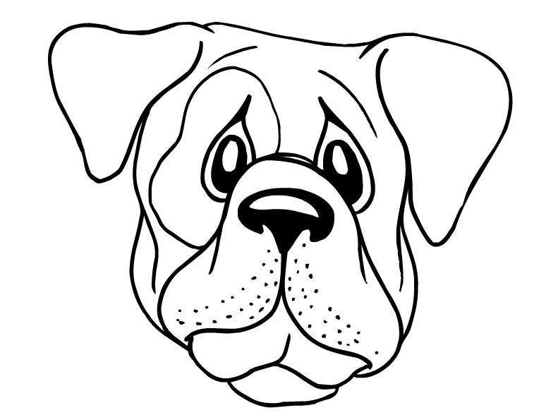 791x588 Dog Face Outline Clipart