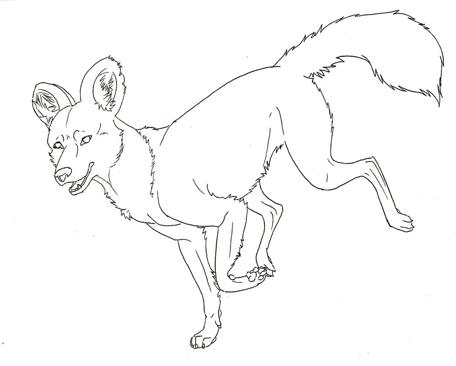 900x721 African Wild Dog Line Art By Yazora