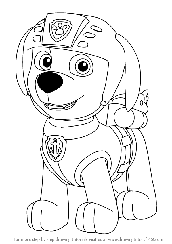 598x844 Learn How To Draw Zuma From Paw Patrol (Paw Patrol) Step By Step