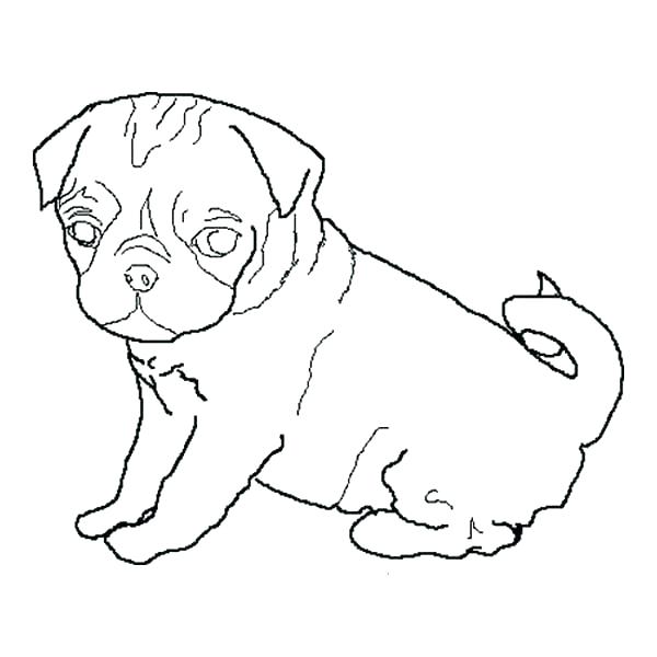 600x600 Dog Mask Coloring Page Dogs Printable Coloring Pages Printable