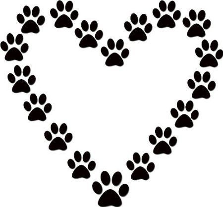 450x418 58 Best Dogs Cats Images On Sausages, Cats