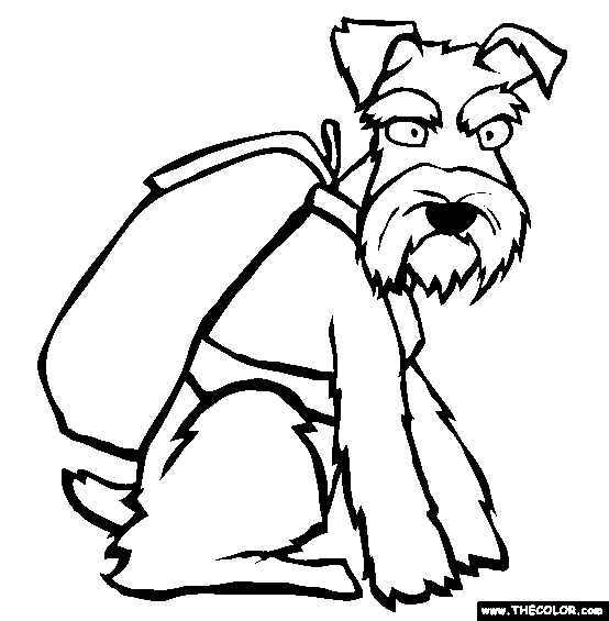 554x565 Miniature Schnauzer Coloring Page Free Miniature Schnauzer