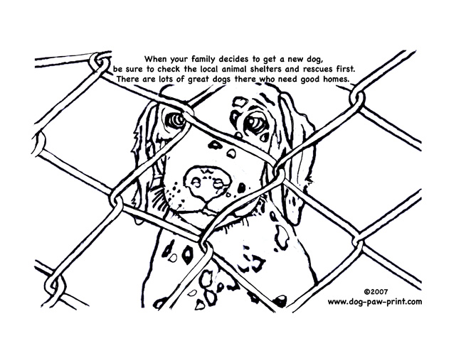 648x504 Paw Print Coloring Page Free Download