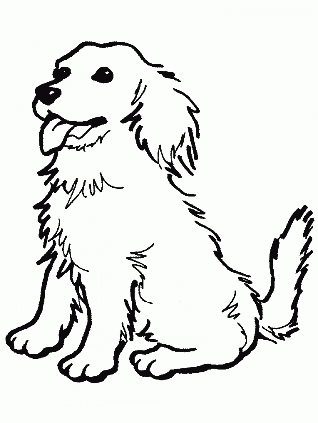 640x853 Paw Print Coloring Pages 384392