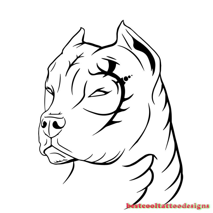 900x900 Collection Of Dog Tattoo Drawing