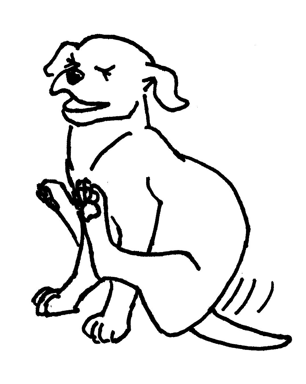 1076x1348 So What Is With The Butt Scooting Anal Glands 101