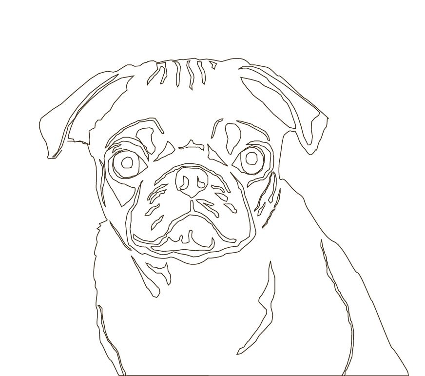 872x771 You Can Also Take Photographs And Tracing Paper And Create Line