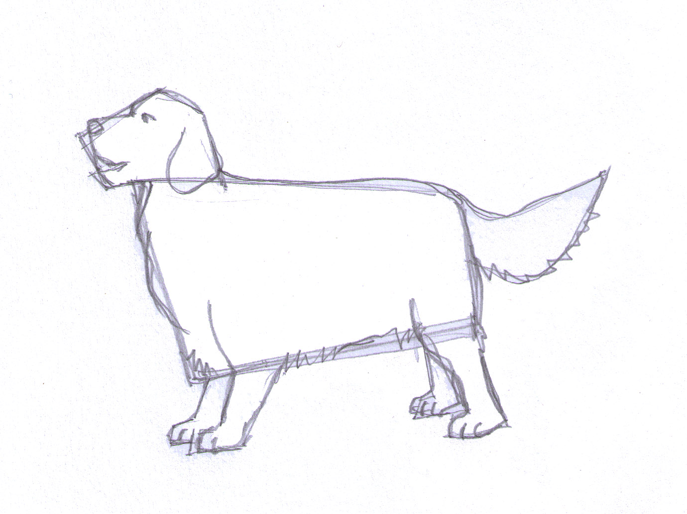 1380x1034 Simple Dog Drawings In Pencil