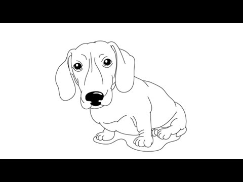 480x360 How To Draw A Daschund