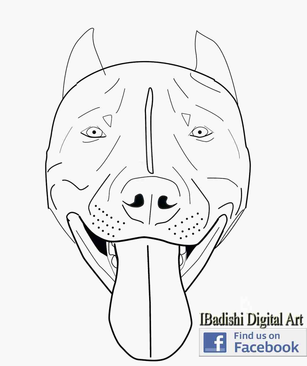 1062x1264 A How Pitbull Dog Drawing Face Easy To Draw A Drawn Pit Bull